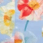 SKY BLUE MIX