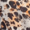 Color swatch - LEOPARD