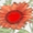 Color swatch - STRAWBERRY MIX