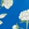 Color swatch - BLUE MIX
