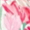 ROSE PINK MIX