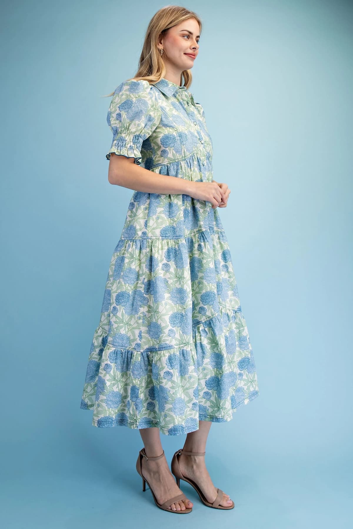 TE1919 - BLUEBERRY MIX